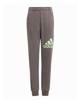 Pantalon Adidas Unisex BL Pant Gris/Verde