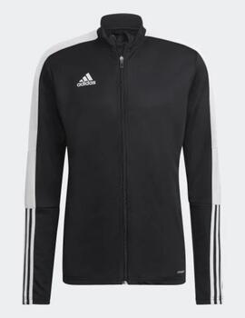 Chaqueta Adidas TIRO TK JKT ES